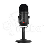 Микрофон конденсаторный A22 (USB-A - Type-C)