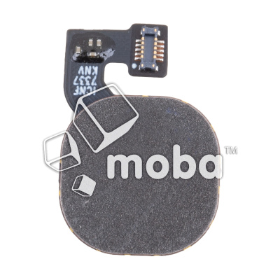 FPC-TCN-SPR-GO-2022-FP-B_1