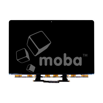 MTX-MB-PR-RTNM1-13-A2338_1