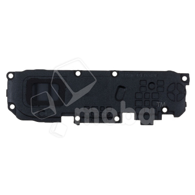 BUZ-REAL-C21-CP