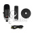 MIC-CPT-A22